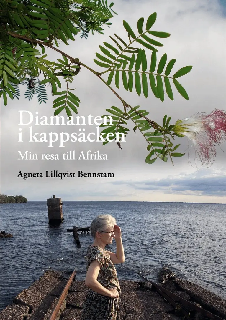 Agneta Lillqvist Bennstam - Diamanten i kappsäcken: Min resa till Afrika, E-bok. Tillgänglighet: Lägg i varukorg