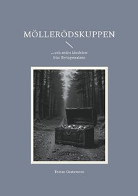 Möllerödskuppen: ... och andra händelser från Tyringetrakten