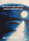 Det finns inget mrker, endast bristande syn : En ny frstelse och frklar