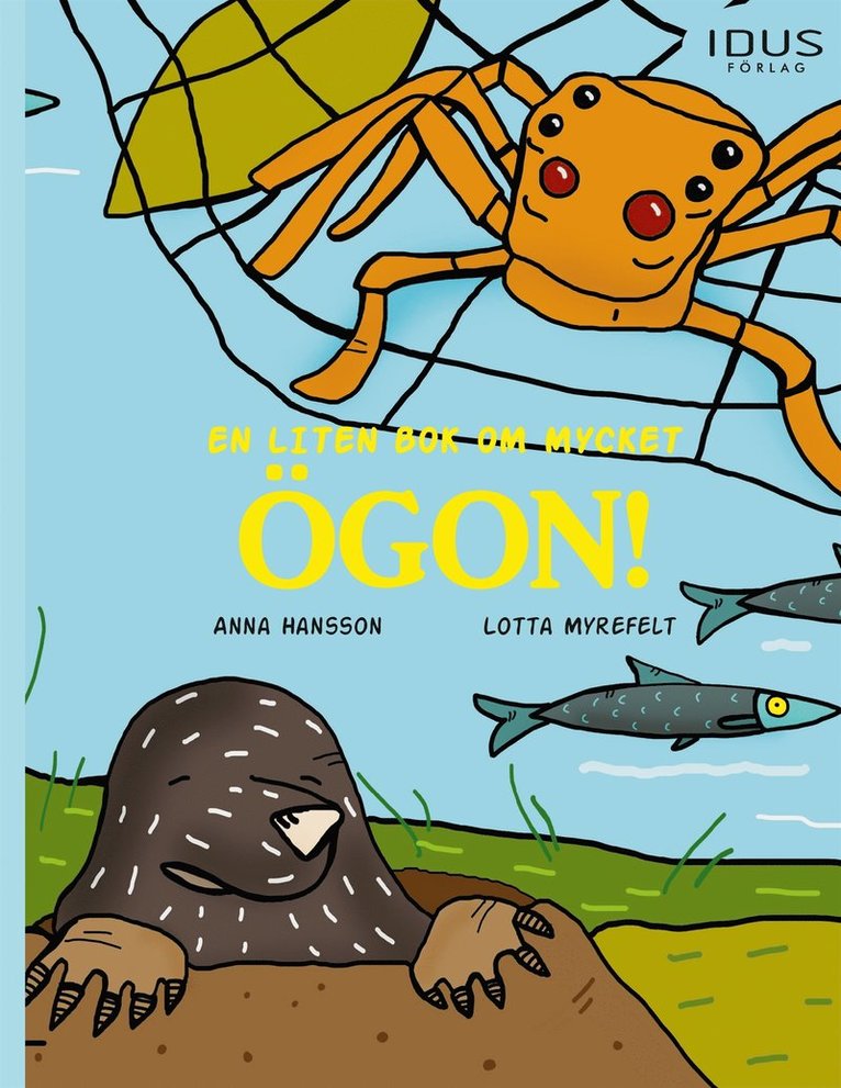 Anna Hansson - En liten bok om mycket ögon!, E-bok