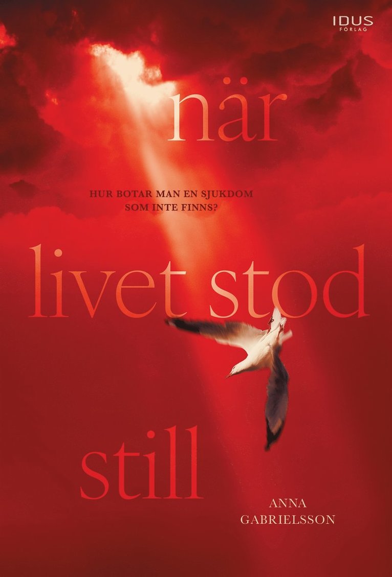 Anna Gabrielsson - När livet stod still, E-bok