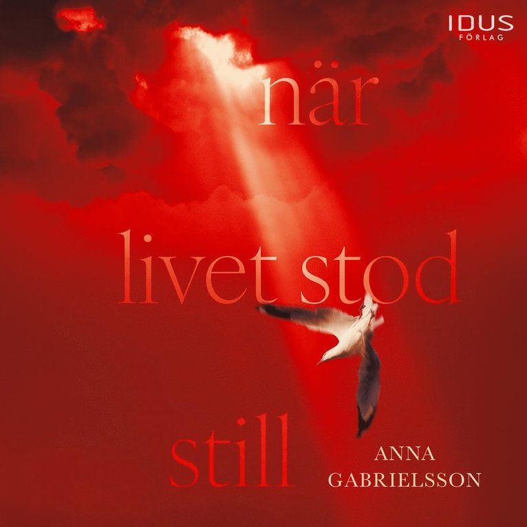 Anna Gabrielsson - När livet stod still, Ljudbok