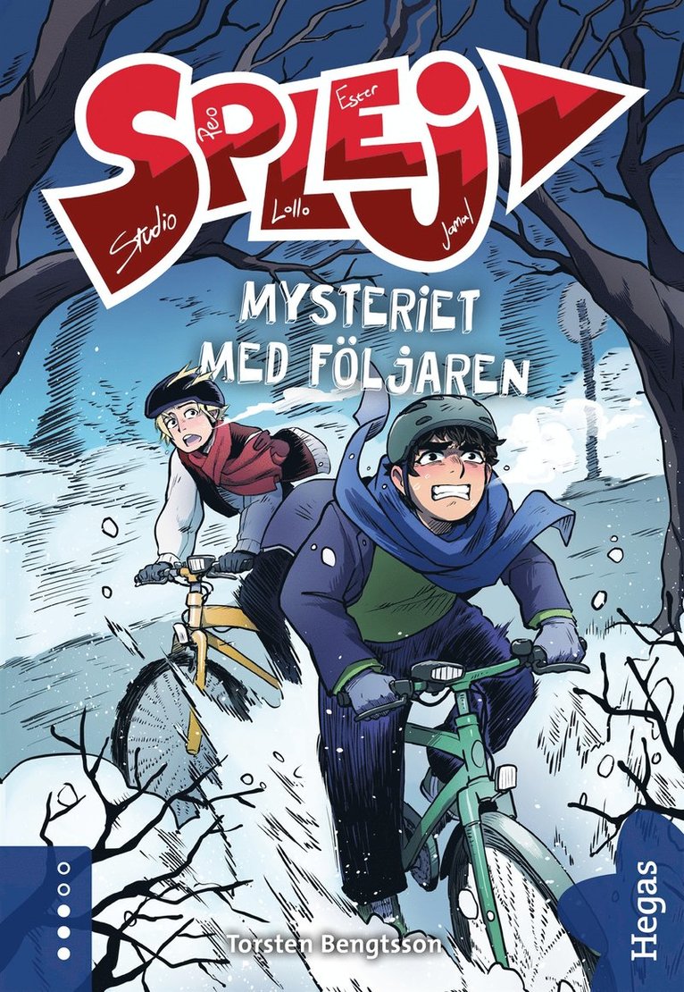 Torsten Bengtsson - Mysteriet med följaren, E-bok