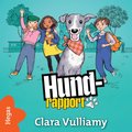 Bortsprungen hund