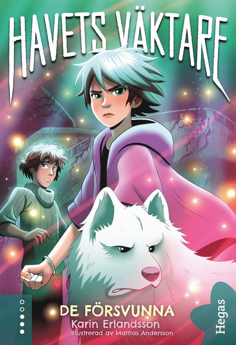 Karin Erlandsson - De försvunna, E-bok