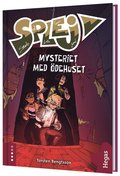 Mysteriet med ödehuset