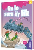 En lo som r lik