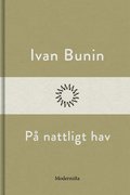 P nattligt hav