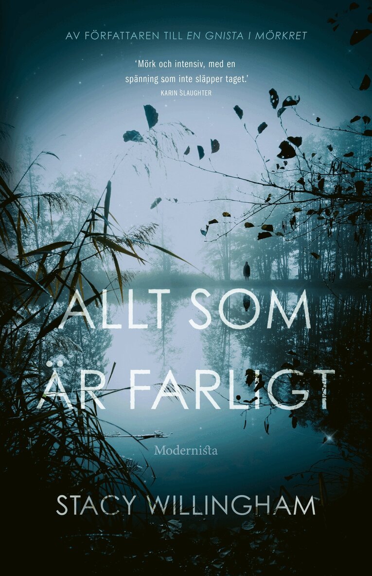 Stacy Willingham - Allt som är farligt, E-bok
