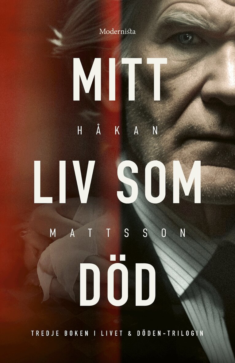Håkan Mattsson - Mitt liv som död, E-bok