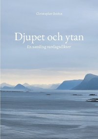 Djupet och ytan : En samling vardagsdikter