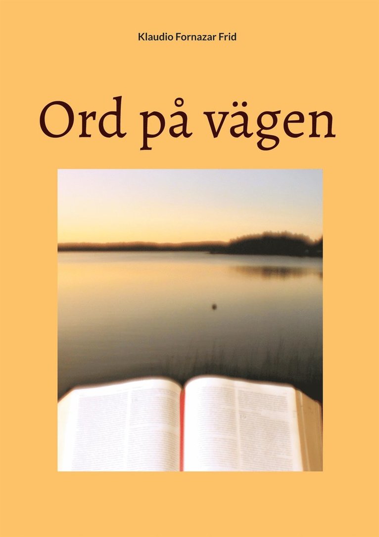 Klaudio Fornazar Frid - Ord på vägen, E-bok