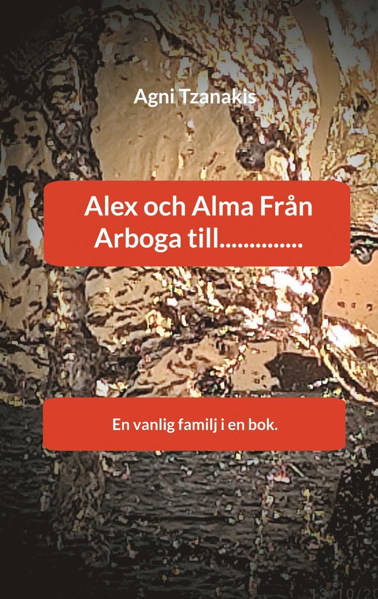 Agni Tzanakis - Alex och Alma Från Arboga till..............: En vanlig familj i en bok., E-bok
