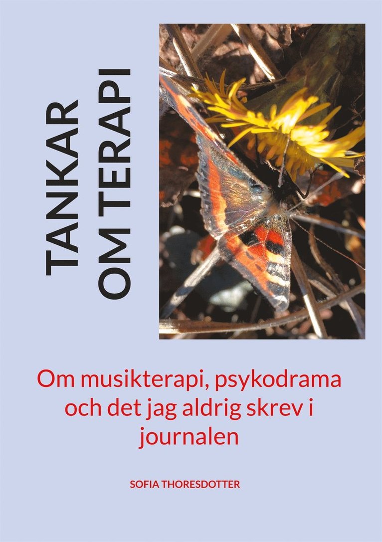 Sofia Thoresdotter - Tankar om terapi: Om musikterapi, psykodrama och det jag aldrig skrev i journalen, E-bok
