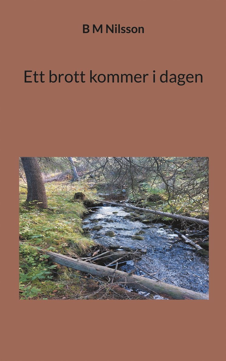 Monica Nilsson - Ett brott kommer i dagen, E-bok