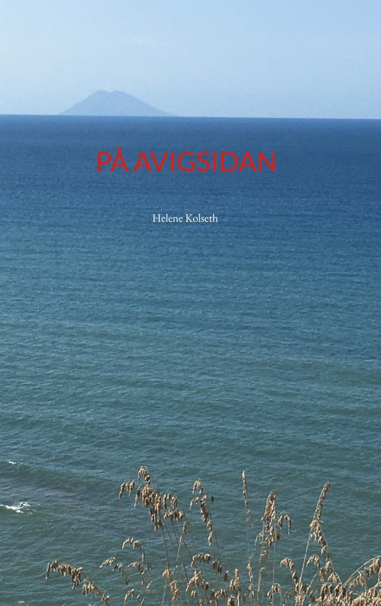 Helene Kolseth - På avigsidan, E-bok