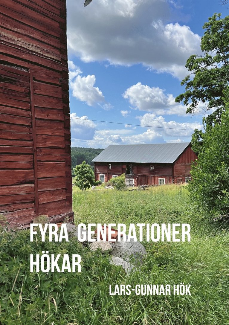Lars-Gunnar Hök - Fyra generationer Hökar: Min farfars farfar Christoffer Fredrik och hans ättlingar, E-bok