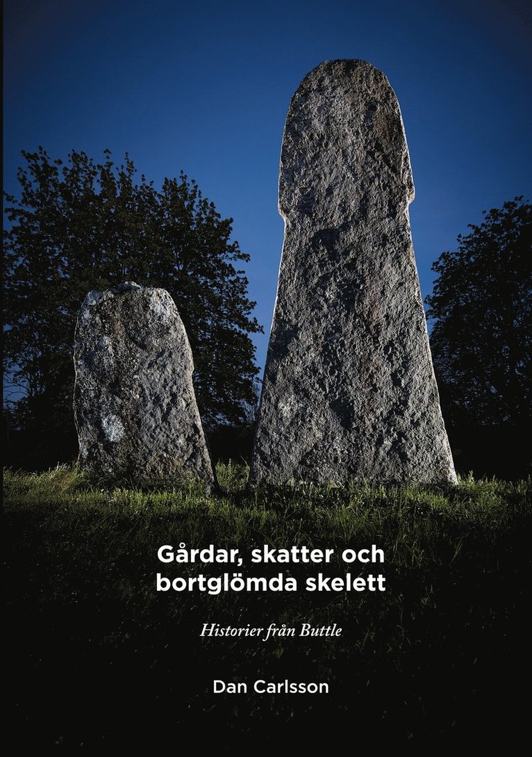 Dan Carlsson - Gårdar, skatter och bortglömda skelett: Historier om Buttle, E-bok