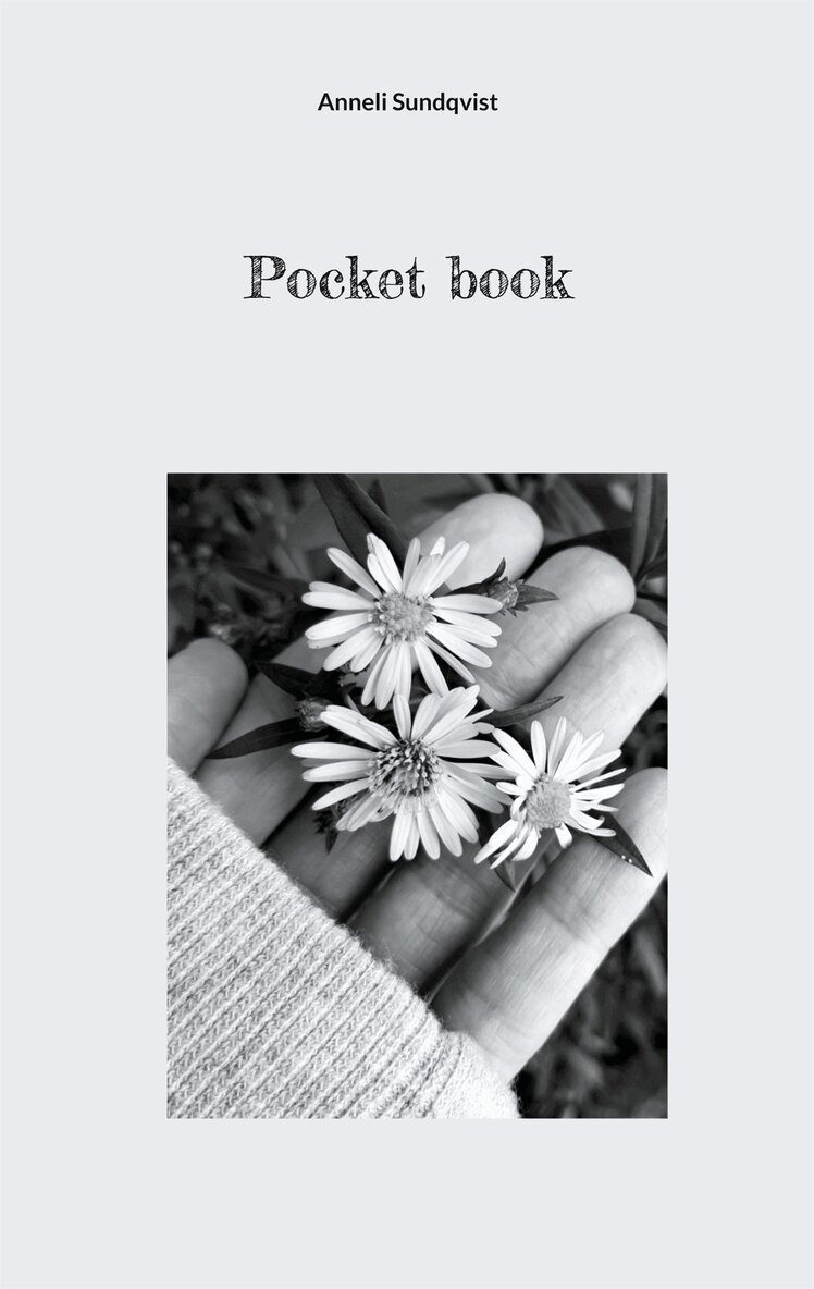 Anneli Sundqvist - Pocket book, E-bok