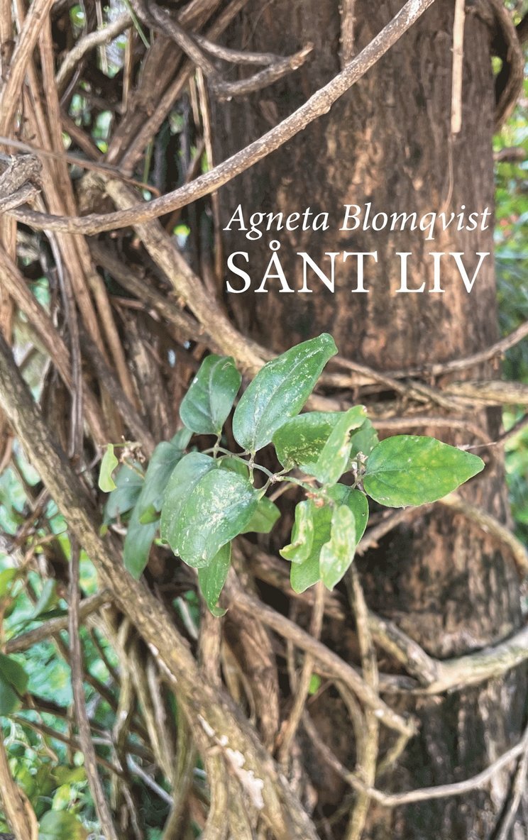 Agneta Blomqvist - Sånt liv, E-bok