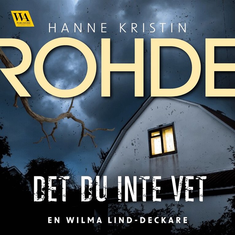 Hanne Kristin Rohde - Det du inte vet, Ljudbok