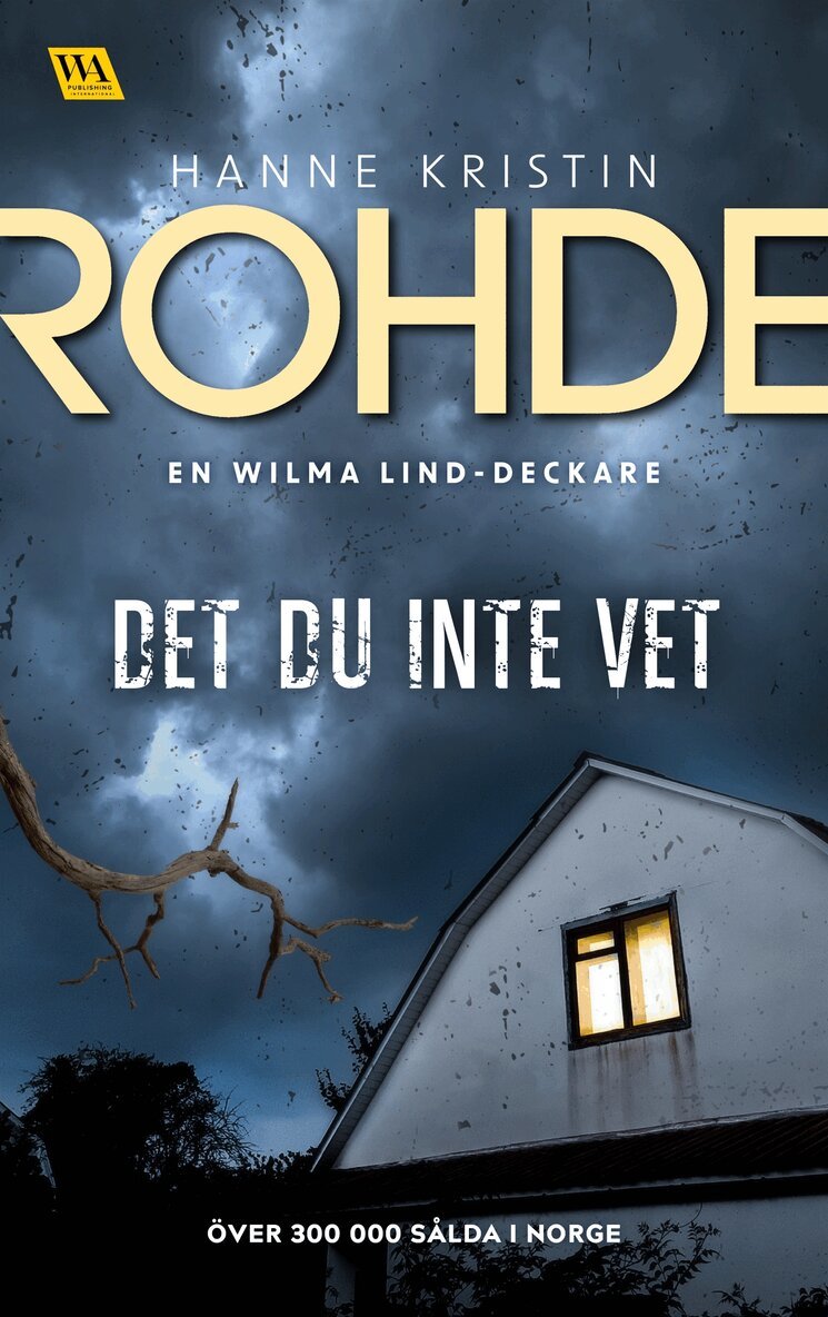 Hanne Kristin Rohde - Det du inte vet, E-bok