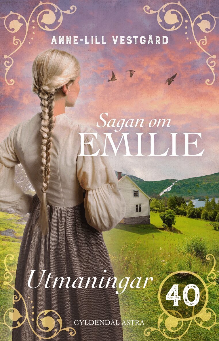 Anne-Lill Vestgård - Utmaningar, E-bok