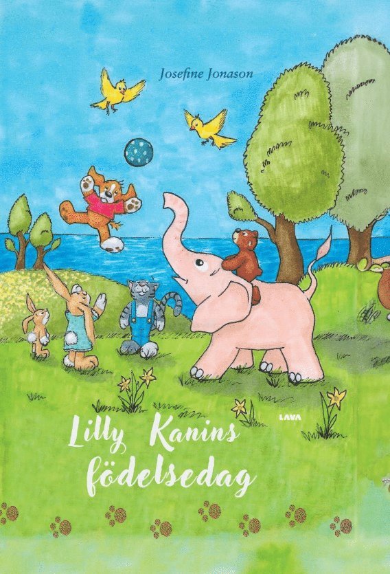 Josefine Jonason - Lilly kanins födelsedag, E-bok