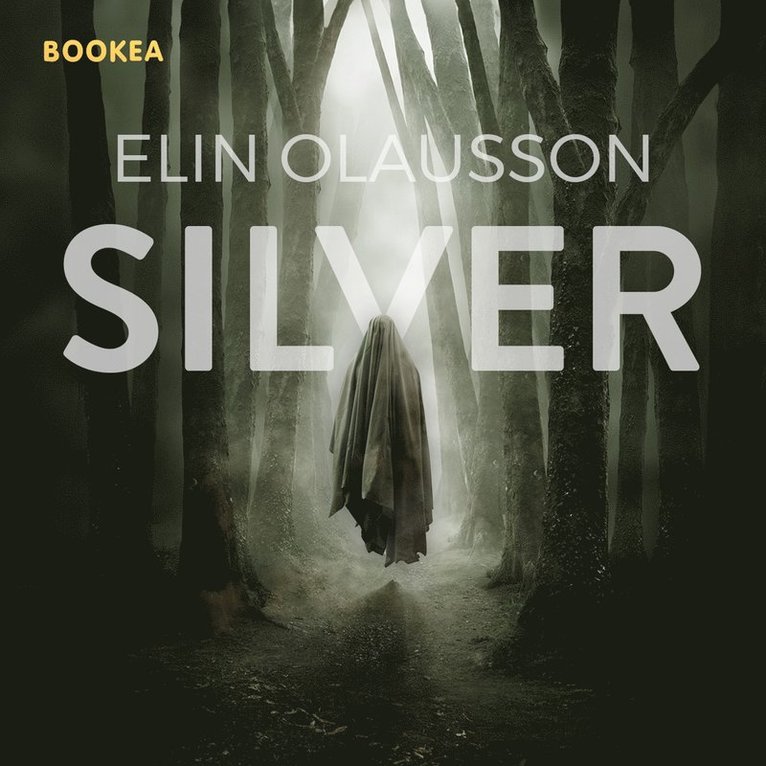 Elin Olausson - Silver, E-bok