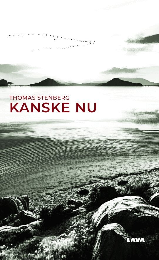 Thomas Stenberg - Kanske nu, E-bok
