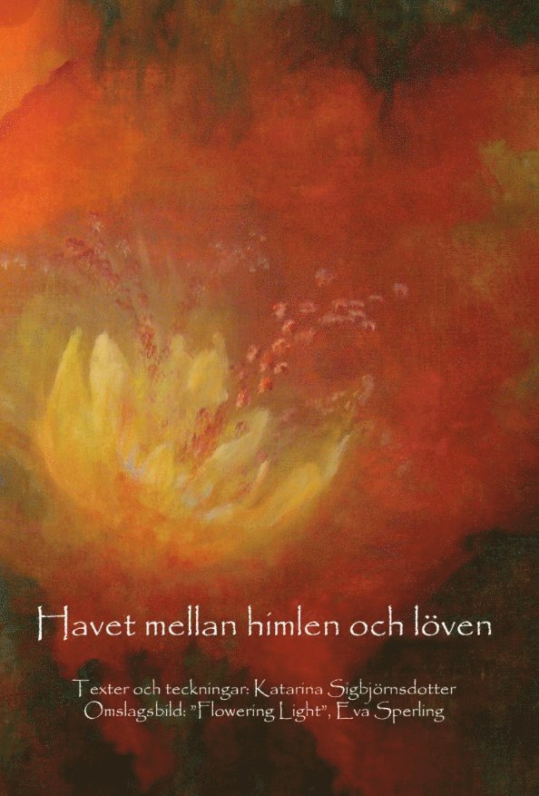 Katarina Sigbjörnsdotter - Havet mellan himlen och löven, E-bok