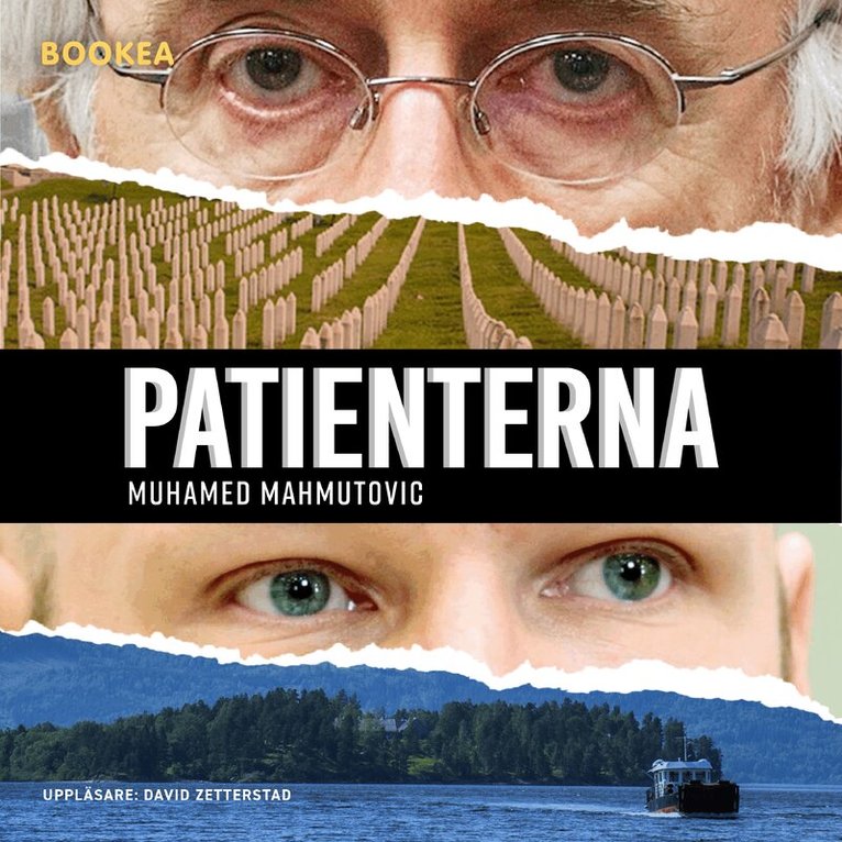 Muhamed Mahmutovic - Patienterna, Ljudbok