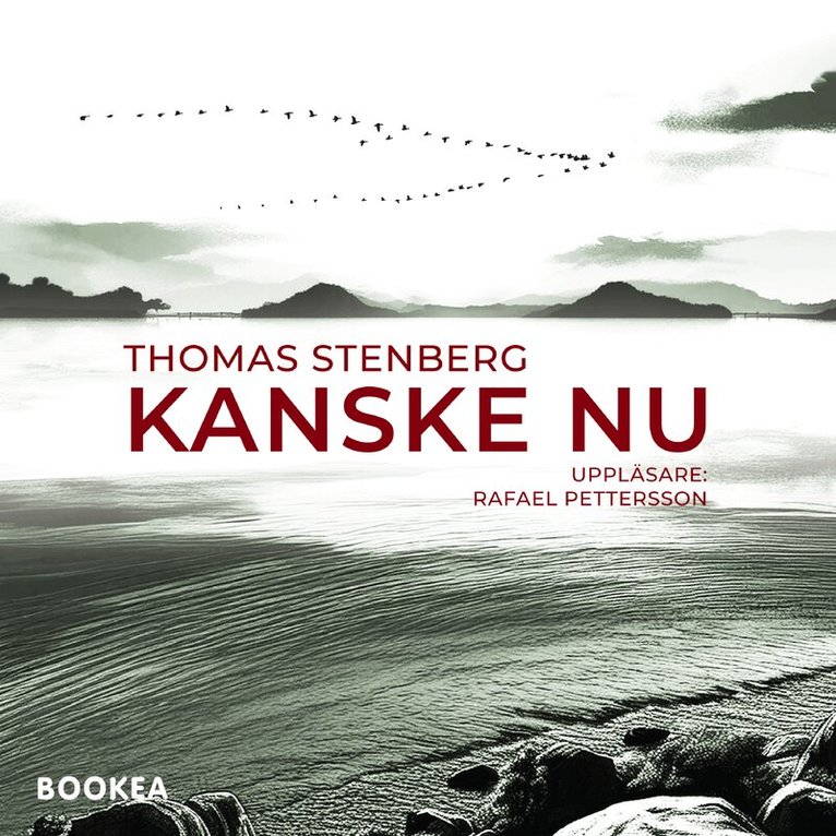 Thomas Stenberg - Kanske nu, Ljudbok
