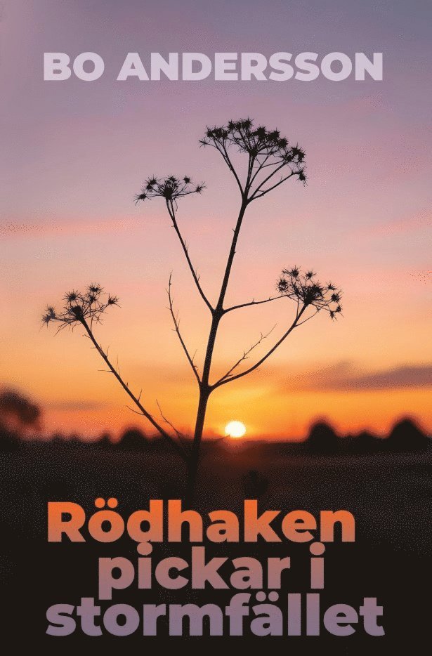 Bo Andersson - Rödhaken pickar i stormfället, E-bok