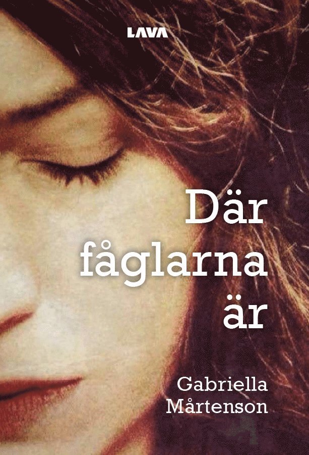 Gabriella Mårtenson - Där fåglarna är, E-bok
