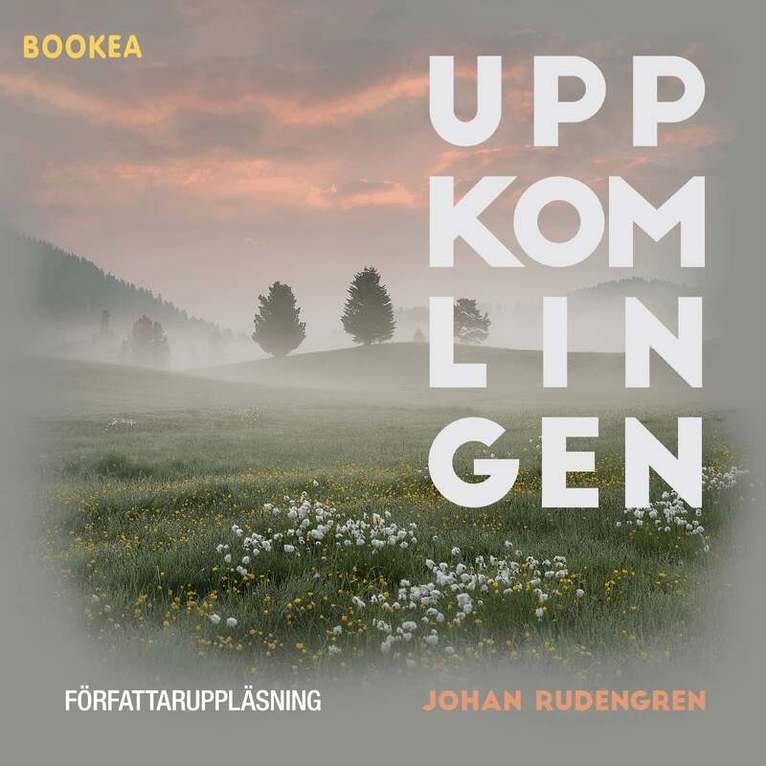 Johan Rudengren - Uppkomlingen, Ljudbok