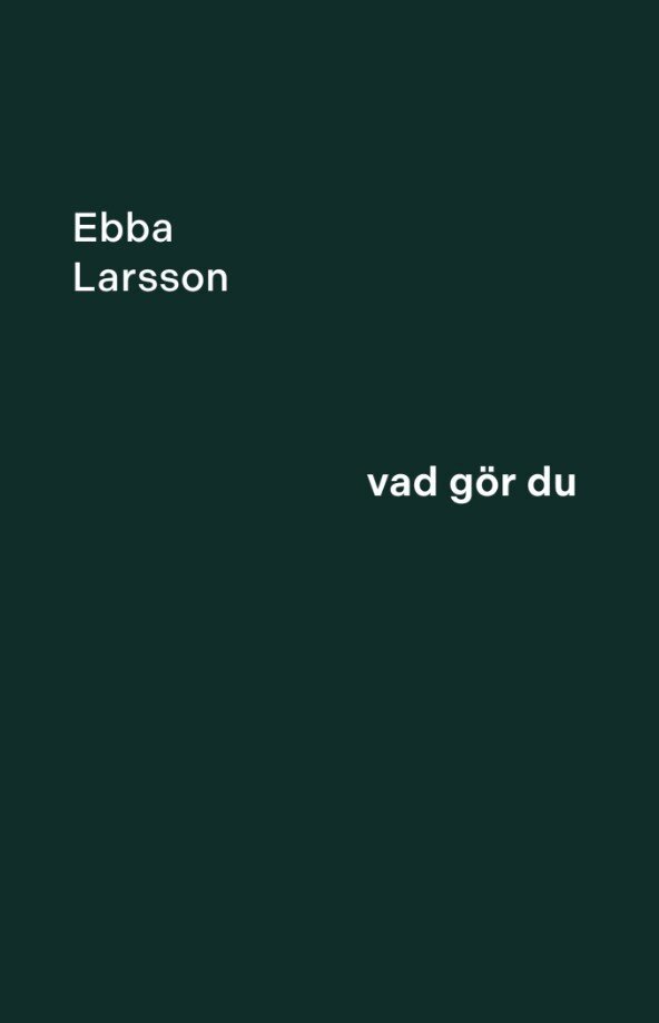 Ebba Larsson - Vad gör du, E-bok