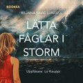 Ltta fglar i storm