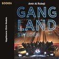 Gangland Sweden. Del 1