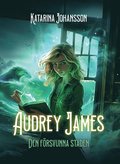 Audrey James : den frsvunna staden