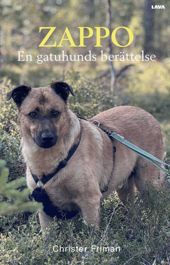 Christer Friman - Zappo : en gatuhunds berättelse, E-bok