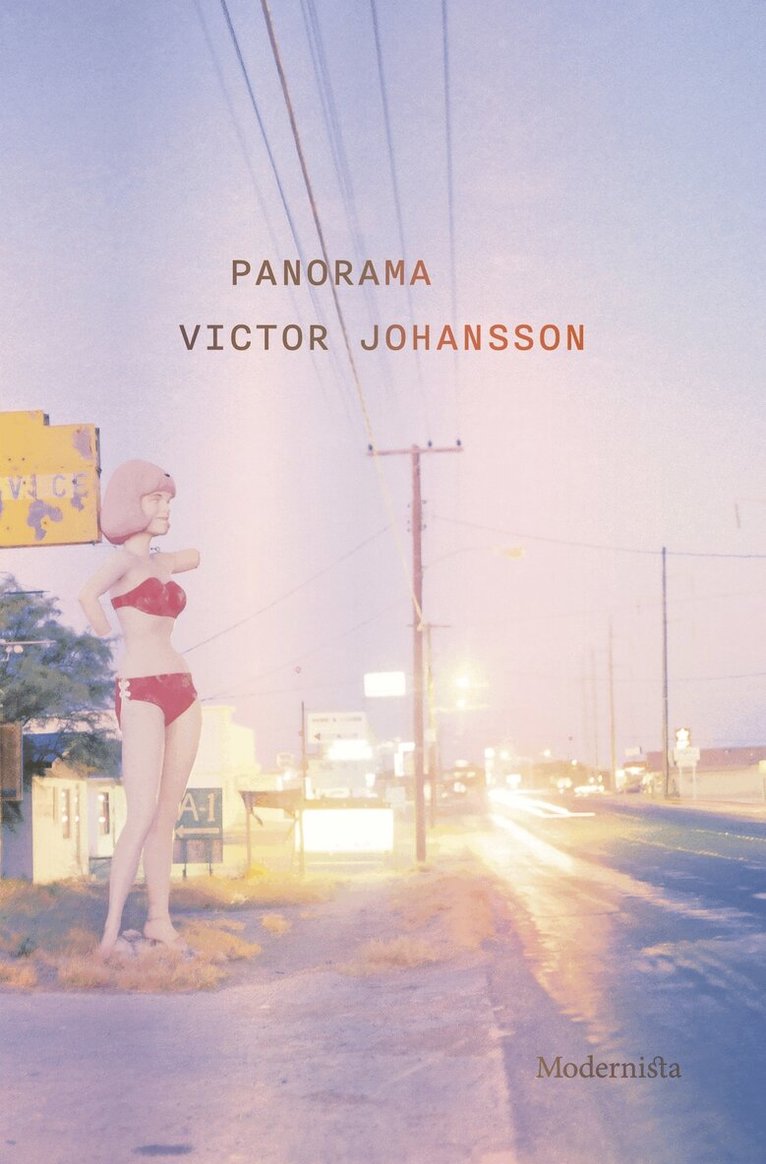 Victor Johansson - Panorama, E-bok