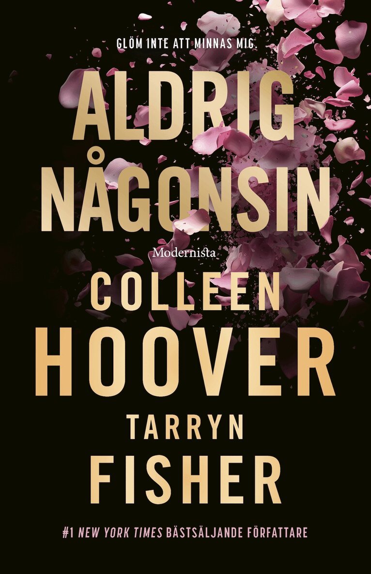 Colleen Hoover, Tarryn Fisher - Aldrig någonsin, E-bok