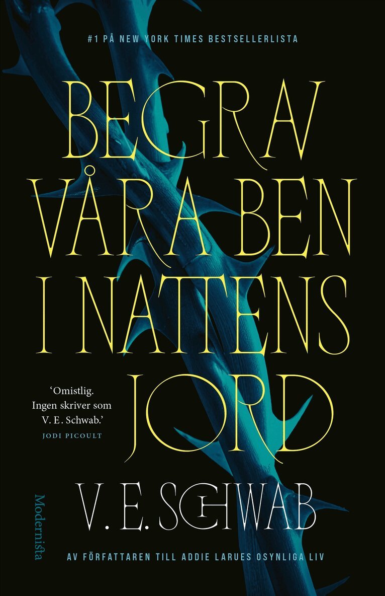 V. E. Schwab - Begrav våra ben i nattens jord, E-bok