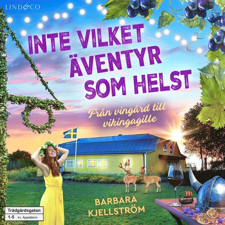 Barbara Kjellström - Inte vilket äventyr som helst : från vingård till vikingagille, Ljudbok