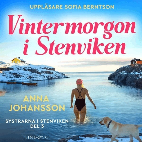 Anna Johansson - Vintermorgon i Stenviken, Ljudbok