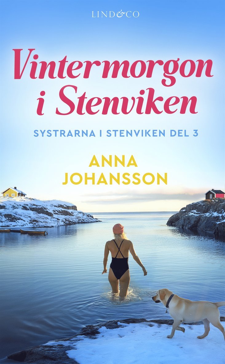 Anna Johansson - Vintermorgon i Stenviken, E-bok