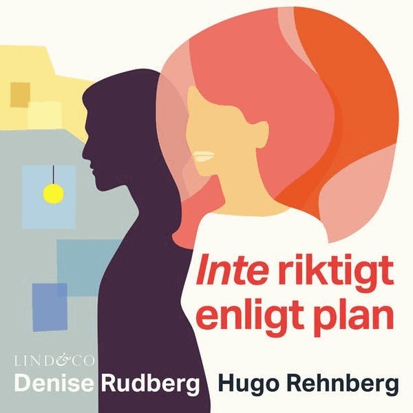 Denise Rudberg, Hugo Rehnberg - Inte riktigt enligt plan, Ljudbok