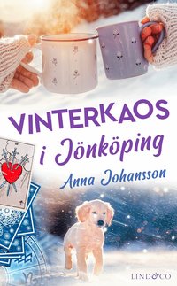 Vinterkaos i J�nk�ping