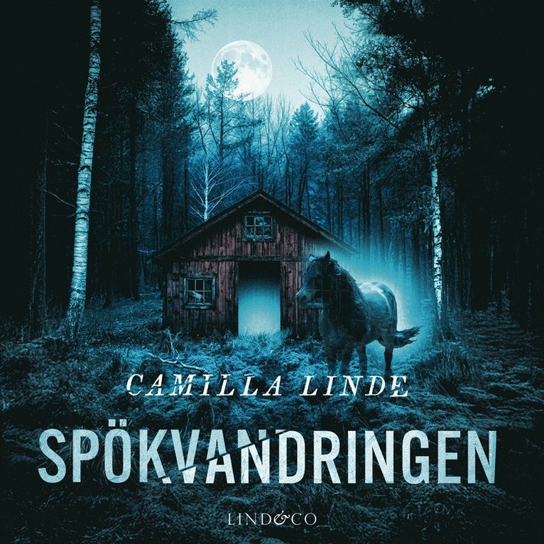 Camilla Linde - Spökvandringen, Ljudbok